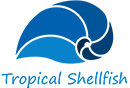 tropical shellfish web logo