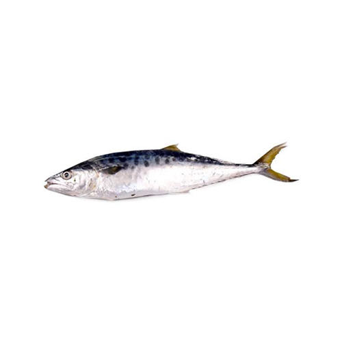 Angilawa
