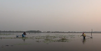The life of prawns. How inland agriculture is changing lives in Sri Lanka