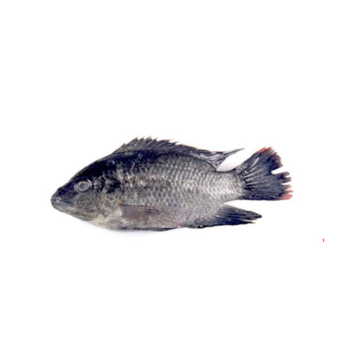 Seppili