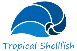 default-logo